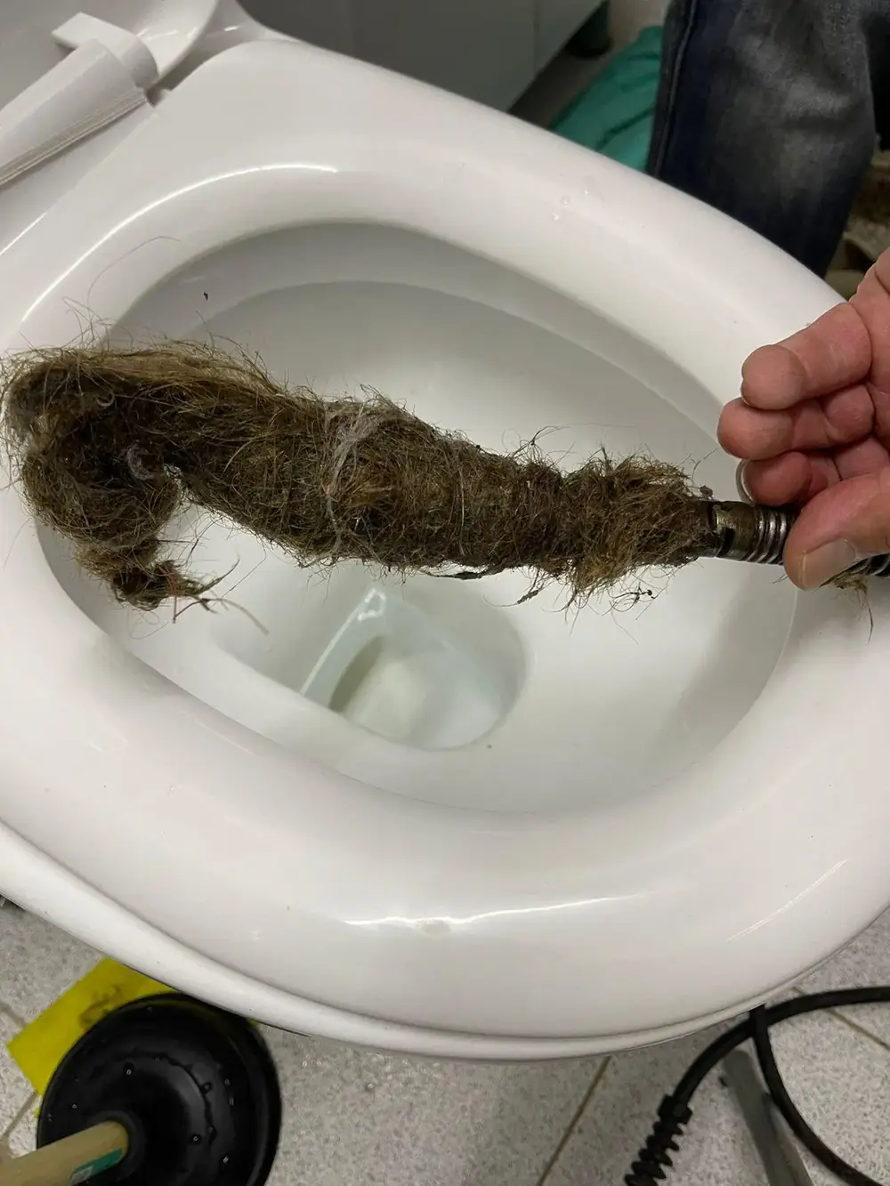 Raíces retiradas desde el interior de una tubería obstruida